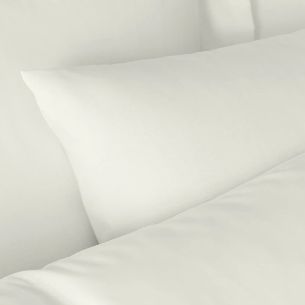 Bianca 180TC Egyptian Cotton Pillowcases | Cream