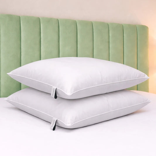 Bianca 100% Cotton Anti-Allergy Pillow Pair