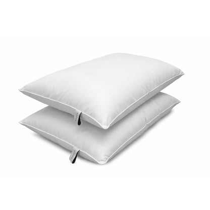 Bianca 100% Cotton Anti-Allergy Pillow Pair