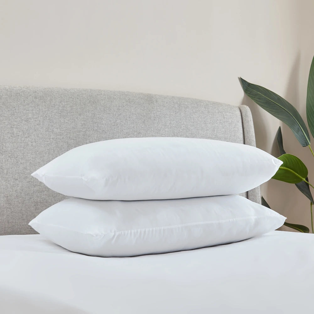 Catherine Lansfield Anti-Allergy Hollowfibre Pillow Pair