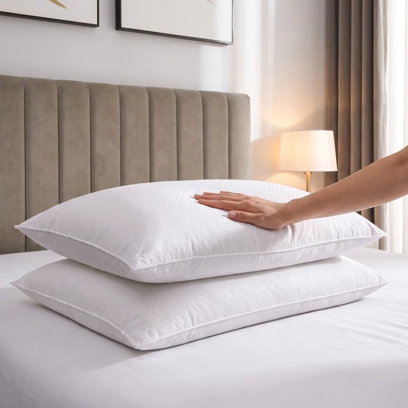 Two Velvet-Soft Pillows