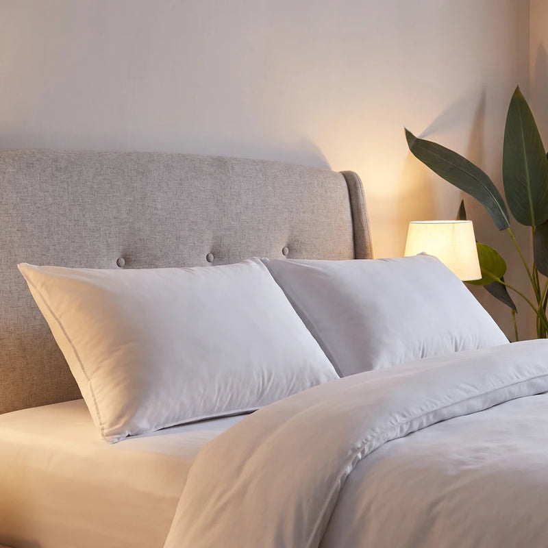 Cosy Right Through the Night