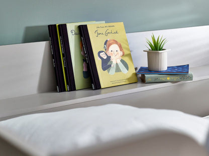 Parsec Bunk Bed - Taupe & White